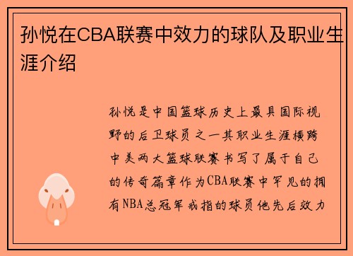 孙悦在CBA联赛中效力的球队及职业生涯介绍