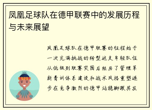 凤凰足球队在德甲联赛中的发展历程与未来展望
